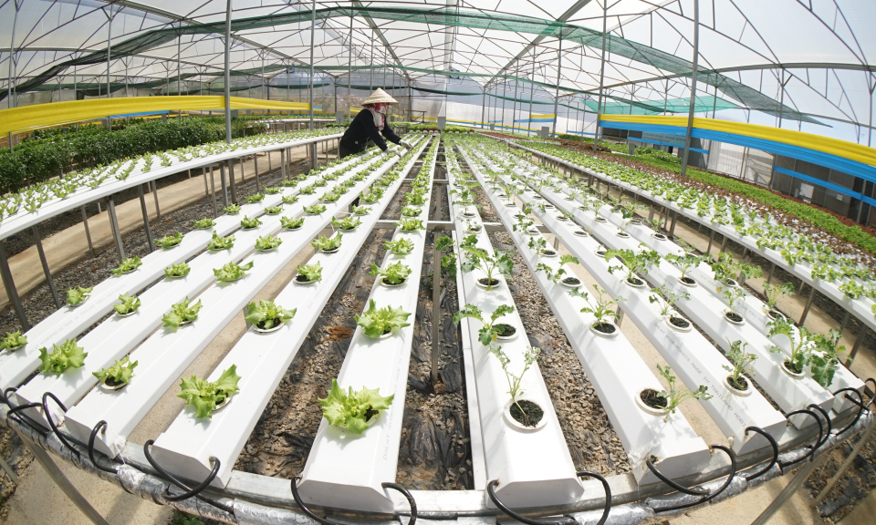 Đo&agrave;n Văn Nghệ Sỹ Long An: Kết th&uacute;c trại s&aacute;ng t&aacute;c tại Đ&agrave; Lạt