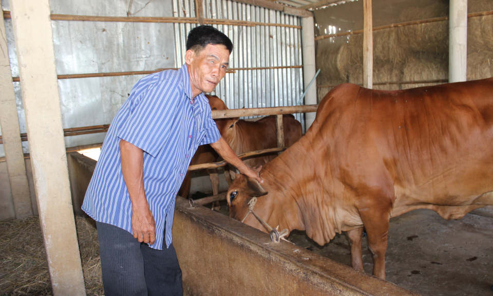 Cần Đước: Nguồn vốn t&iacute;n dụng ch&iacute;nh s&aacute;ch n&acirc;ng cao đời sống người d&acirc;n