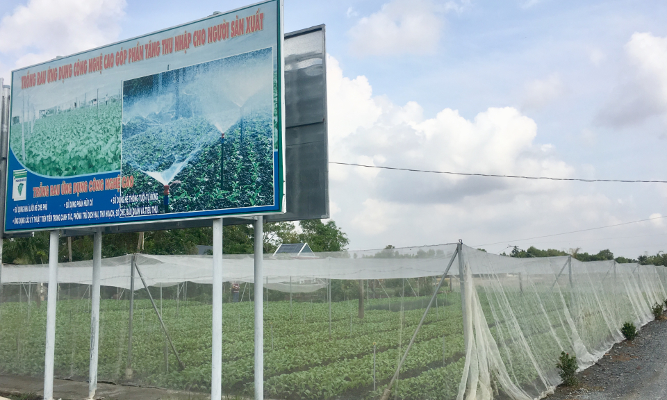 Đầu ra cho v&ugrave;ng trồng rau chuy&ecirc;n canh