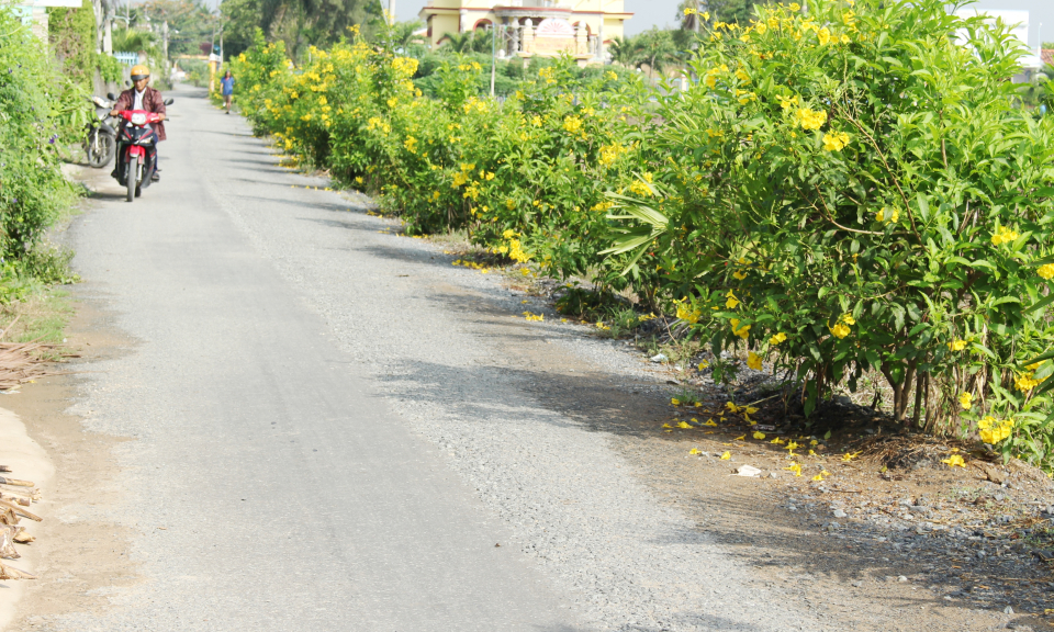 Long Trạch-Cần Đước x&acirc;y dựng cảnh quan m&ocirc;i trường xanh, sạch, đẹp