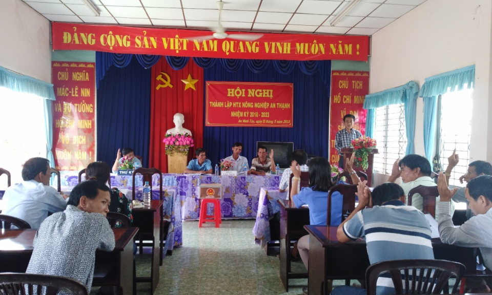 Đức H&ograve;a: Th&agrave;nh lập hợp t&aacute;c x&atilde; sản xuất thương mại dịch vụ n&ocirc;ng nghiệp An Thạnh