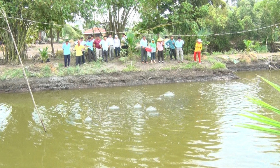 Trung khuyến n&ocirc;ng tỉnh Long An tổng kết m&ocirc; h&igrave;nh thủy sản nước ngọt