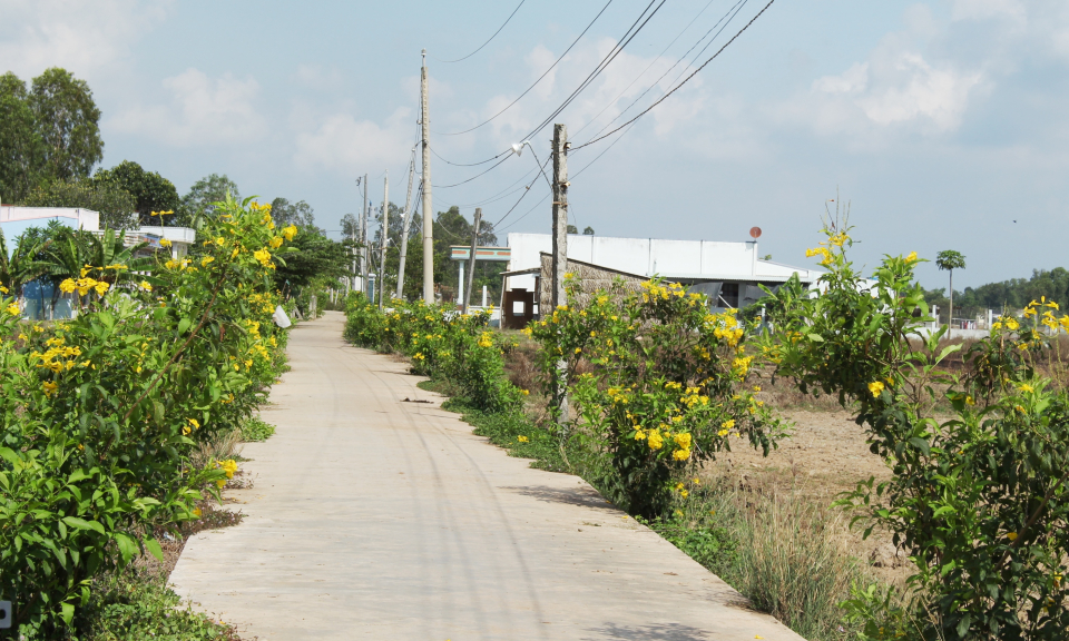 Cần Đước : Vận động người d&acirc;n hơn 200 triệu đồng lắp đặt đ&egrave;n chiếu s&aacute;ng
