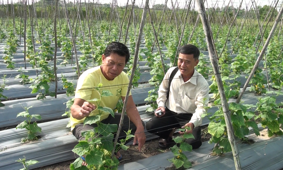 Đo&agrave;n c&ocirc;ng t&aacute;c về thực hiện t&aacute;i cơ cấu ng&agrave;nh n&ocirc;ng nghiệp l&agrave;m việc tại Đức Ho&agrave;