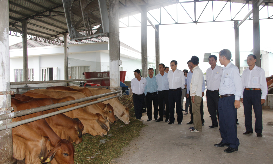 Thủ Thừa: Kiểm tra về kết quả 5 năm thực hiện t&aacute;i cơ cấu ng&agrave;nh n&ocirc;ng nghiệp