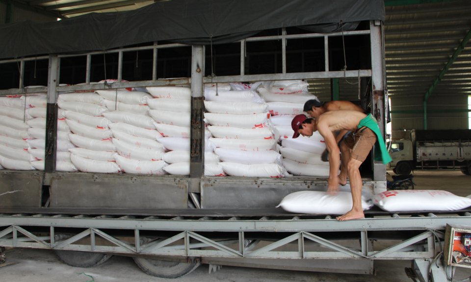 Trớ tr&ecirc;u: N&ocirc;ng d&acirc;n bán mía phải nh&acirc;̣n đường đ&ecirc;̉ trừ nợ