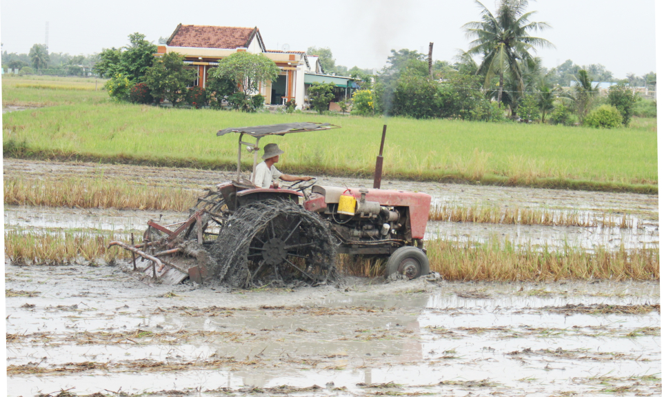 Cần Đước: Chuẩn bị gieo sạ vụ l&uacute;a M&ugrave;a &ndash;Đ&ocirc;ng xu&acirc;n 2018