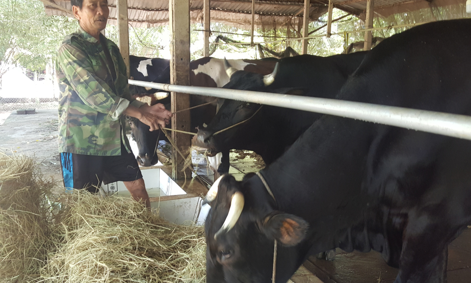 Người cao tuổi l&agrave;m kinh tế giỏi