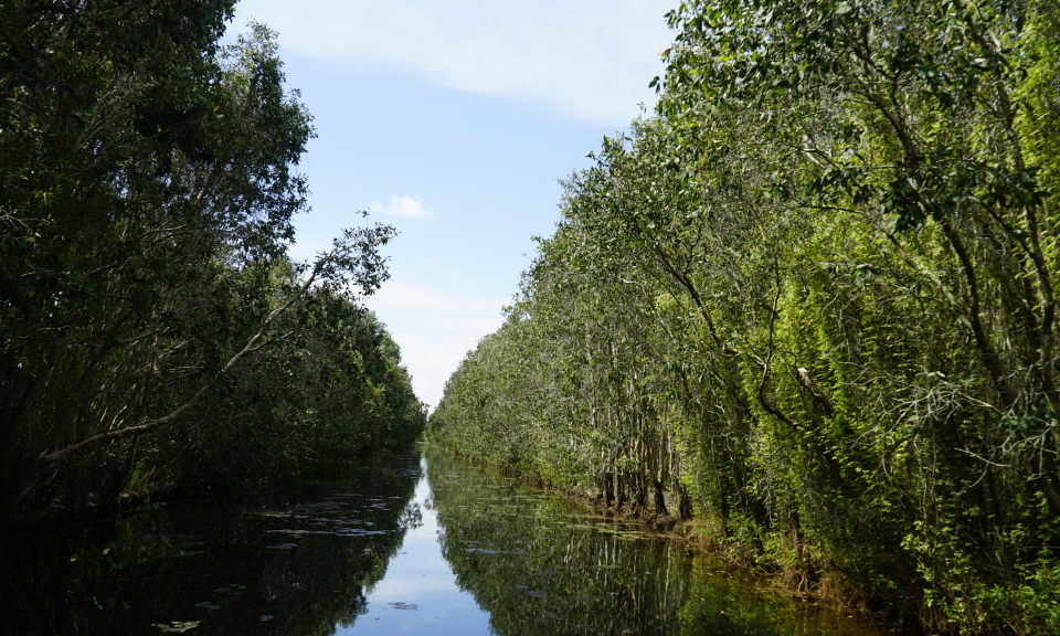 Du lịch sinh th&aacute;i, nghỉ dưỡng v&agrave; bảo tồn – điểm nhấn của du lịch Long An