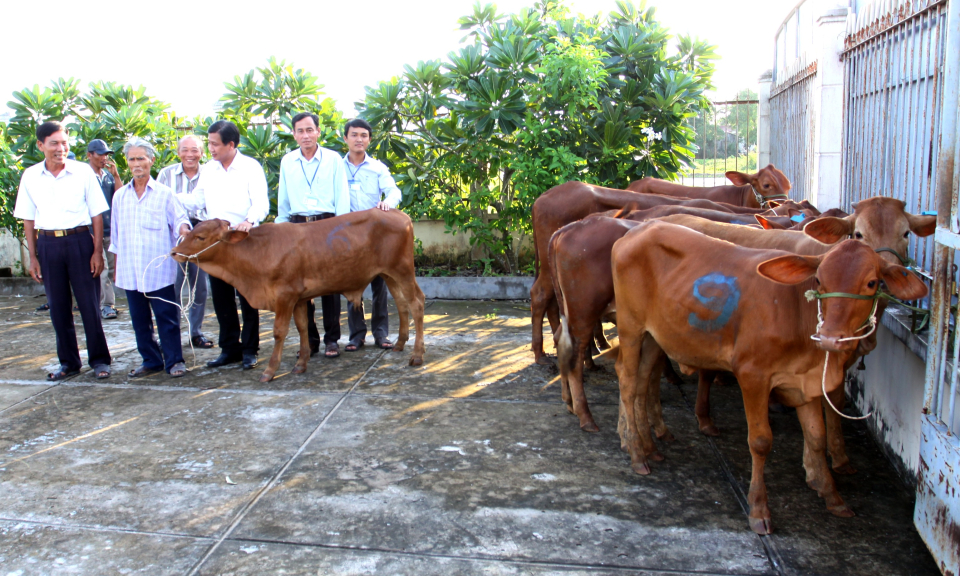 Cần Đước: Duy tr&igrave; vốn vay ưu đ&atilde;i 250 triệu đồng để giải quyết việc l&agrave;m-x&oacute;a đ&oacute;i giảm ngh&egrave;o