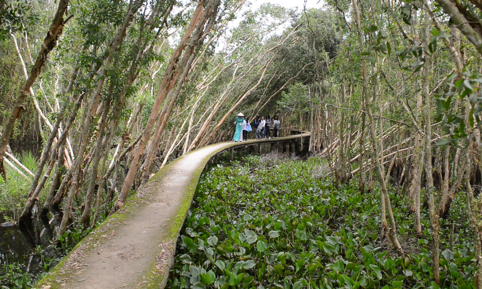 Long An: 9 th&aacute;ng đầu năm doanh thu du lịch ước đạt 431 tỷ đồng.