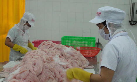 Con c&aacute; tra Việt lo mất thị trường xuất khẩu