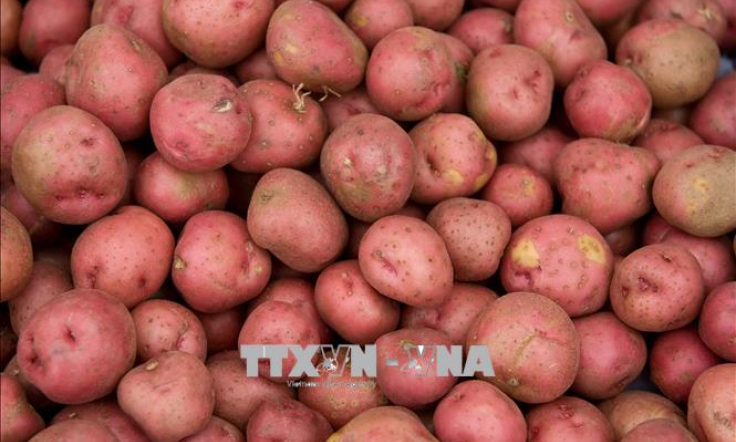 17 bang Mỹ hối th&uacute;c mở rộng thương mại n&ocirc;ng sản với Cuba