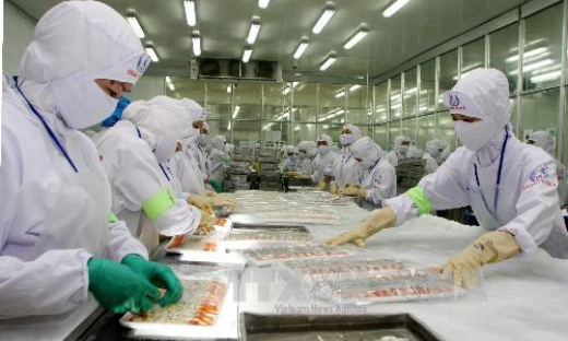 Hoa Kỳ giảm thuế chống b&aacute;n ph&aacute; gi&aacute; cho t&ocirc;m Việt Nam