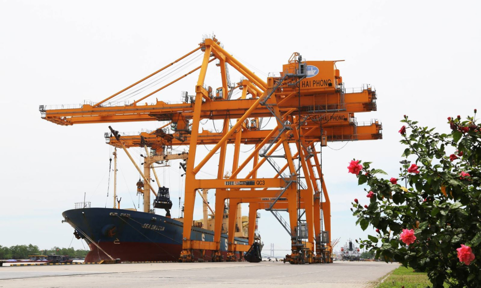 Sau cổ phần h&oacute;a, Vinalines sẽ ‘lột x&aacute;c’ bằng đầu tư cảng biển nước s&acirc;u?