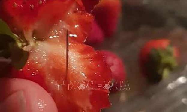 Si&ecirc;u thị Australia ngừng b&aacute;n kim kh&acirc;u giữa ‘cuộc khủng hoảng d&acirc;u tươi’