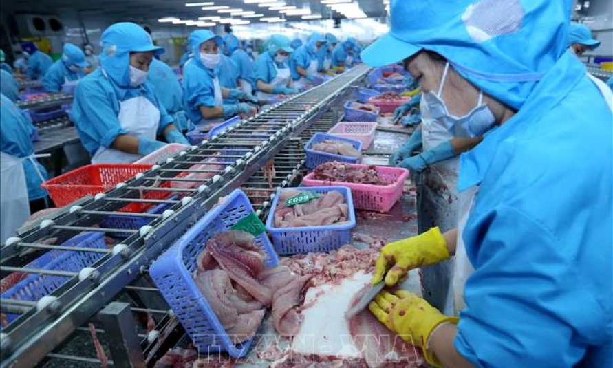 Nhiều giải ph&aacute;p cho ng&agrave;nh c&aacute; tra