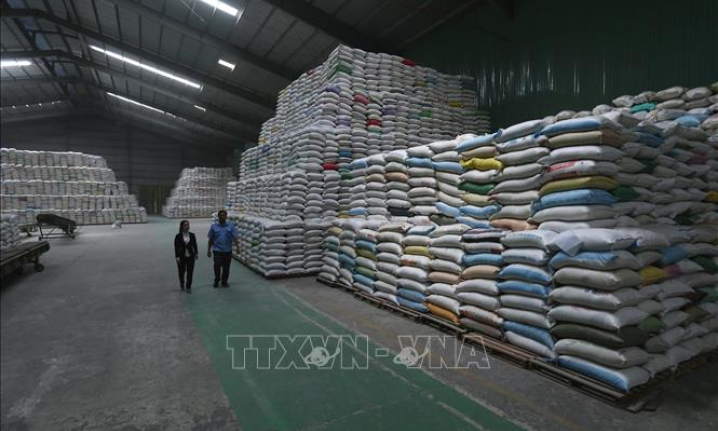 Xuất khẩu gạo sẽ tiếp tục tăng trong những th&aacute;ng cuối năm