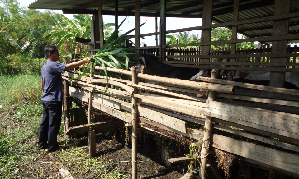 Cần Giuộc: Đồng h&agrave;nh với thanh ni&ecirc;n lập th&acirc;n, lập nghiệp
