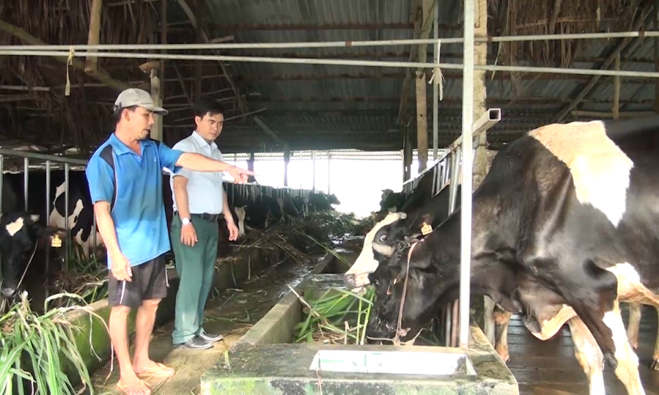 N&ocirc;ng d&acirc;n sản xuất kinh doanh giỏi với thu nhập tr&ecirc;n 1 tỷ đồng/năm