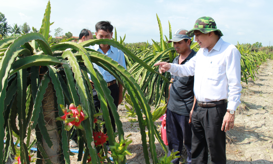Cần Đước: Thực hiện hiệu quả c&ocirc;ng t&aacute;c giảm ngh&egrave;o