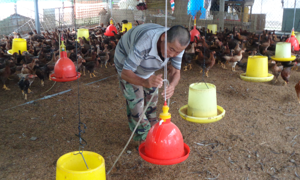 Cần Giuộc: Đẩy mạnh c&ocirc;ng t&aacute;c bảo vệ m&ocirc;i trường trong chăn nu&ocirc;i