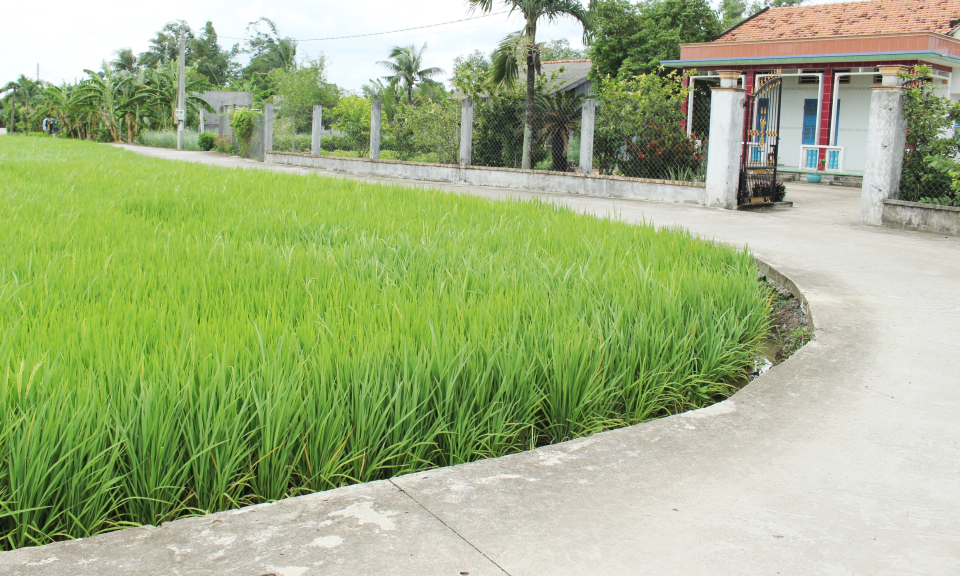 N&ocirc;ng th&ocirc;n Cần Đước khởi sắc từ chương tr&igrave;nh x&acirc;y dựng n&ocirc;ng th&ocirc;n mới