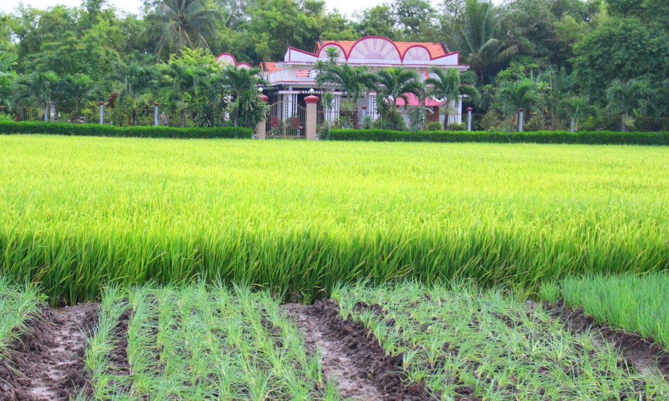 Cần Đước: Long Kh&ecirc; nổ lực về đ&iacute;ch n&ocirc;ng th&ocirc;n mới