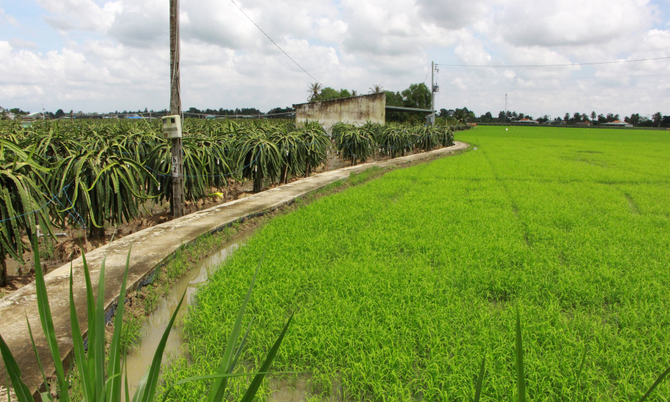 Long An huy đ&ocirc;̣ng hơn 32.000 tỷ đ&ocirc;̀ng x&acirc;y dựng n&ocirc;ng th&ocirc;n mới