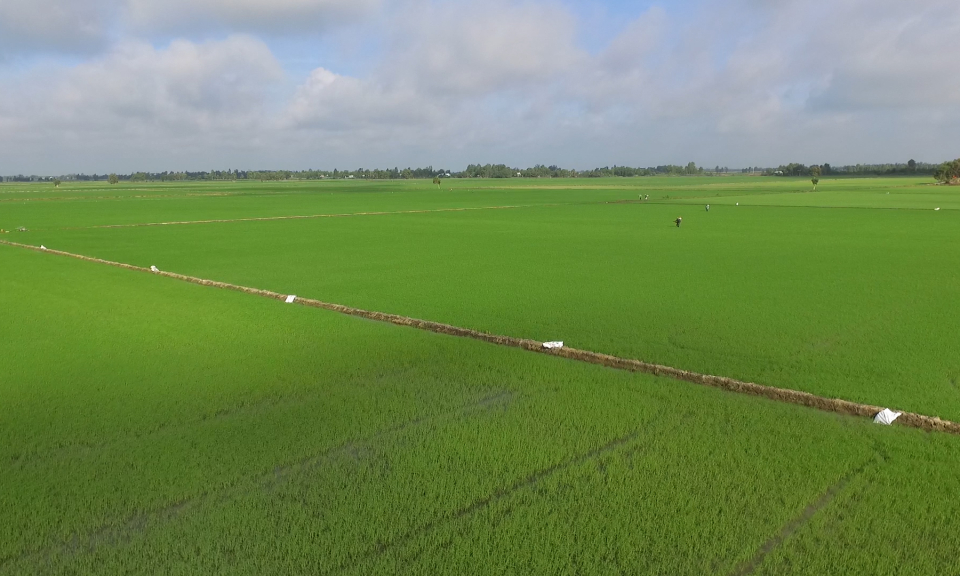 Ng&agrave;nh n&ocirc;ng nghiệp bước v&agrave;o sản xuất vụ Đ&ocirc;ng Xu&acirc;n 2018 &ndash; 2019.