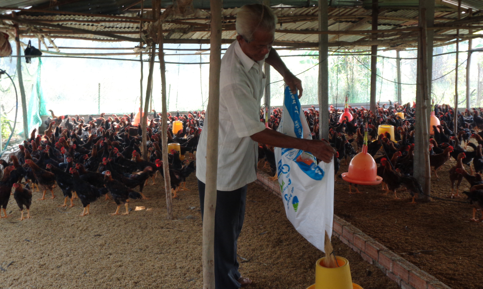 Cần Giuộc: Ph&aacute;t triển đ&agrave;n gia s&uacute;c, gia cầm phục vụ thị trường tết nguy&ecirc;n đ&aacute;n