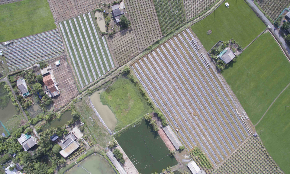 Vốn x&acirc;y dựng NTM đang chuyển dần sang hỗ trợ sản xuất