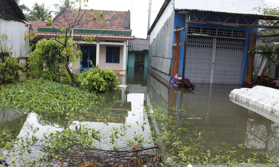 Cần Đước: Khắc phục t&igrave;nh trạng ảnh hưởng sau b&atilde;o số 9