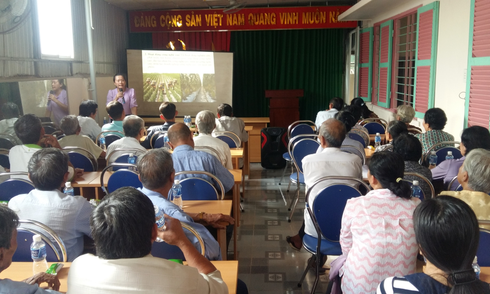 TP T&acirc;n An: Truyền th&ocirc;ng sản xuất rau ứng dụng c&ocirc;ng nghệ cao