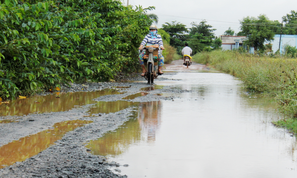 C&acirc;̀n Đước đ&acirc;̀u tư 9,5 tỷ đ&ocirc;̀ng tiếp tục n&acirc;ng cấp hương lộ 82 x&atilde; Long Hựu T&acirc;y