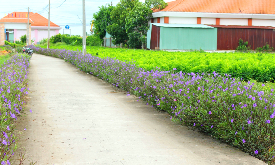 Cần Đước: 10 năm, vận động tr&ecirc;n 311 tỷ đồng thực hiện chương tr&igrave;nh Về nguồn