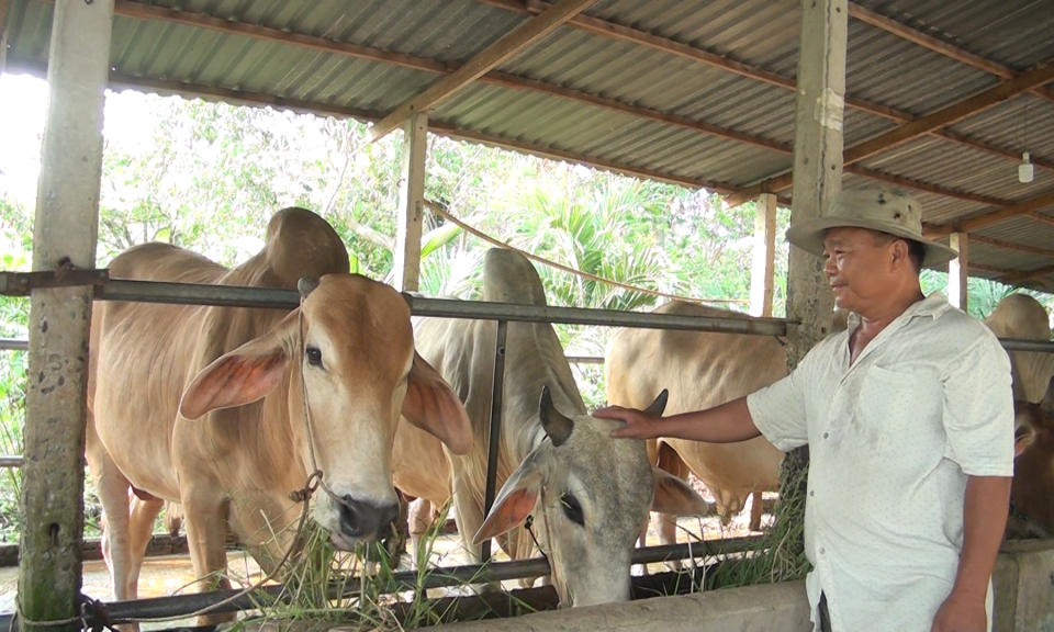 Đức Ho&agrave;: Năm 2018, kh&ocirc;ng xảy ra dịch bệnh lớn trong chăn nu&ocirc;i