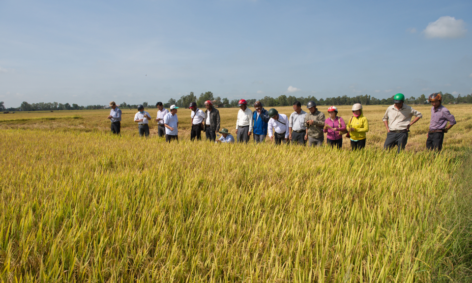 Mộc H&oacute;a-T&acirc;n Hưng: Triển khai nhiệm vụ ph&aacute;t triển kinh tế-x&atilde; hội năm 2019