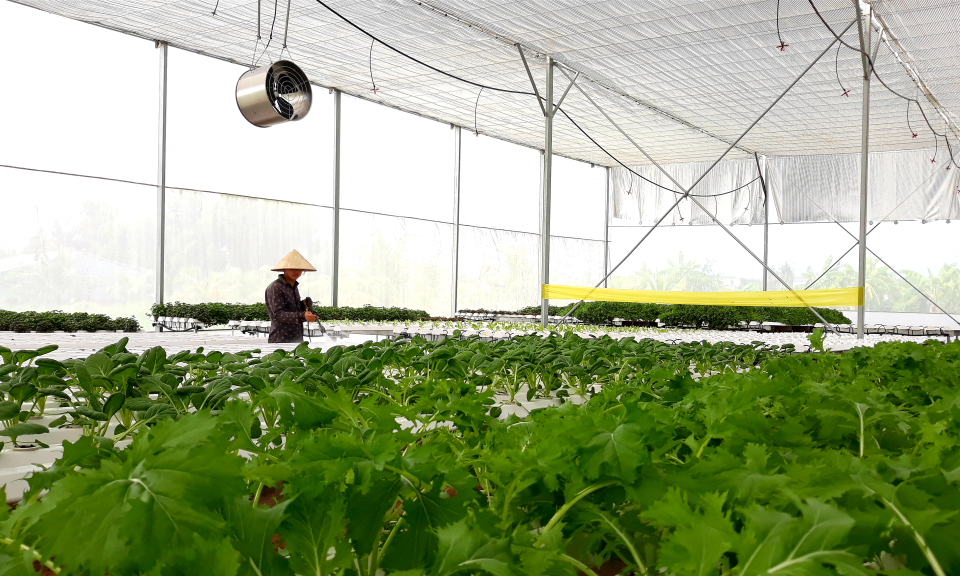 TP T&acirc;n An: Đẩy mạnh ứng dụng c&ocirc;ng nghệ cao trong sản xuất n&ocirc;ng nghiệp