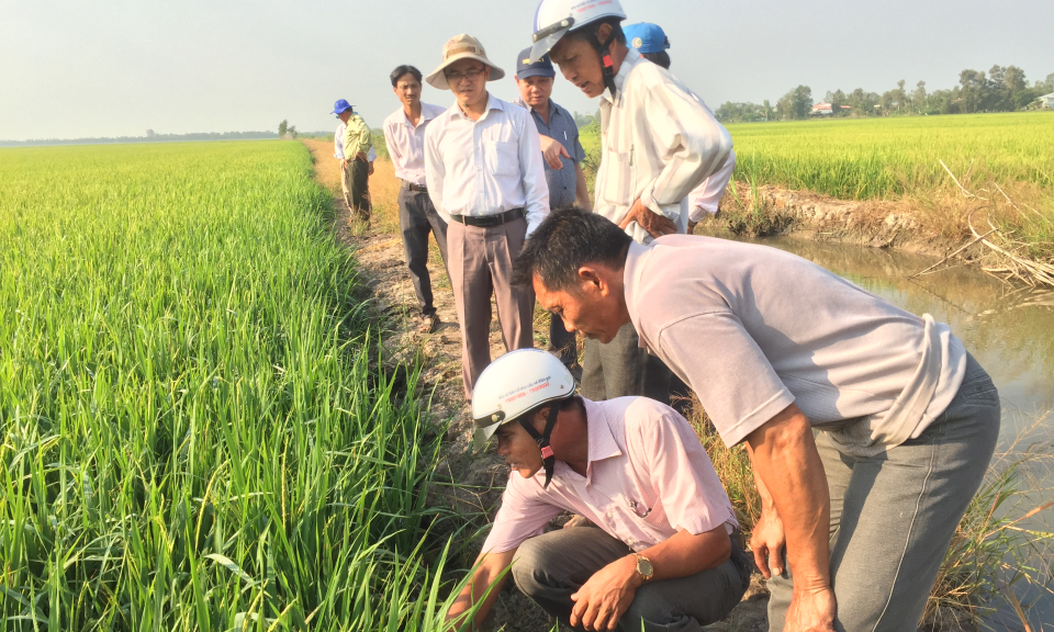 L&atilde;nh đạo UBND huyện T&acirc;n Hưng kiểm tra sản xuất vụ đ&ocirc;ng xu&acirc;n 2018 &ndash; 2019