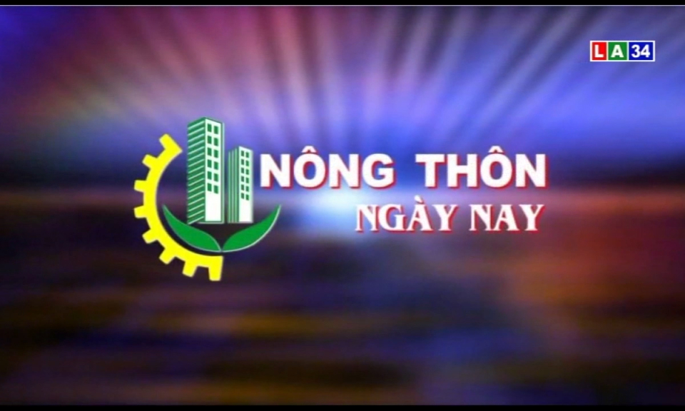 N&ocirc;ng th&ocirc;n ng&agrave;y nay: Khan h&agrave;ng thịt heo sau dịch tả