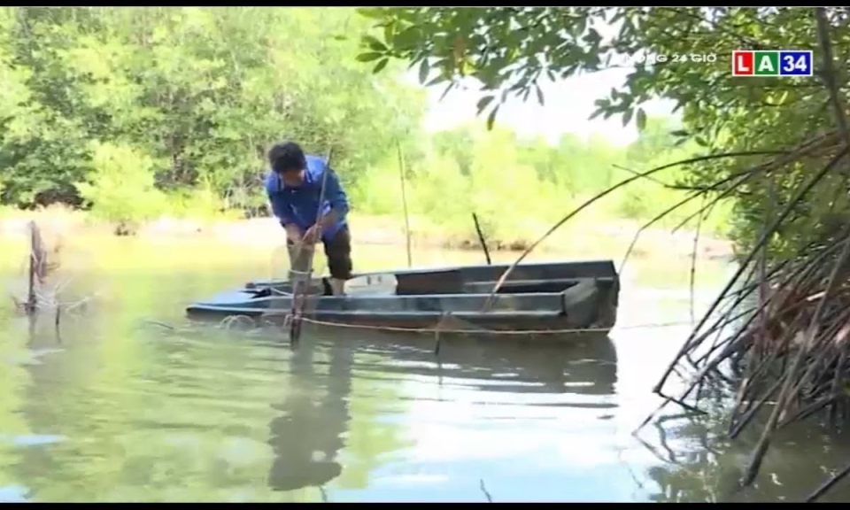 Mô hình “rừng – tôm” tạo nên thương hiệu tôm sinh thái chuẩn quốc tế ...
