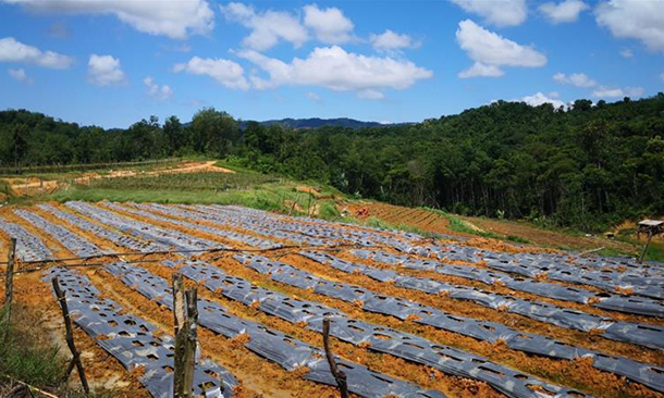 N&ocirc;ng d&acirc;n Đ&ocirc;ng Nam &Aacute; cần m&aacute;y m&oacute;c c&ocirc;ng nghệ gi&aacute; th&agrave;nh hợp l&yacute; hơn