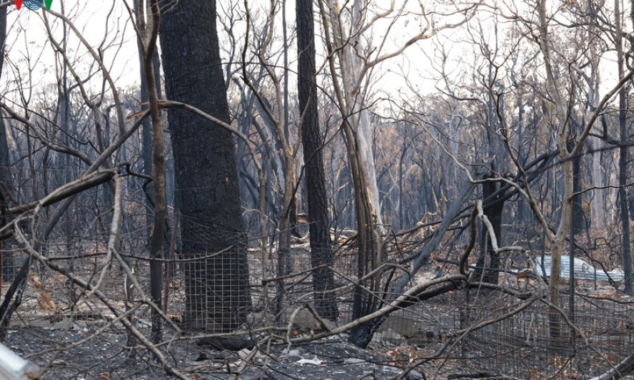 Australia buộc tội 24 người cố t&igrave;nh ch&acirc;m mồi lửa g&acirc;y ch&aacute;y rừng