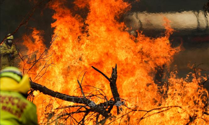 Th&ecirc;m 240.000 người d&acirc;n được y&ecirc;u cầu sơ t&aacute;n do ch&aacute;y rừng ở Australia