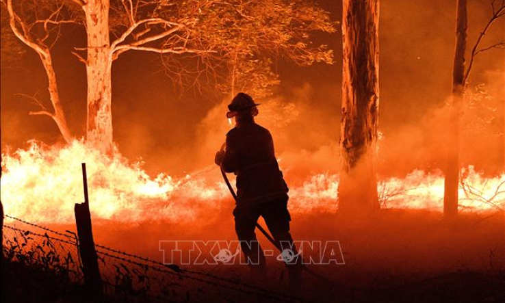Phương ph&aacute;p từ 50.000 năm trước c&oacute; thể dập tắt ch&aacute;y rừng Australia