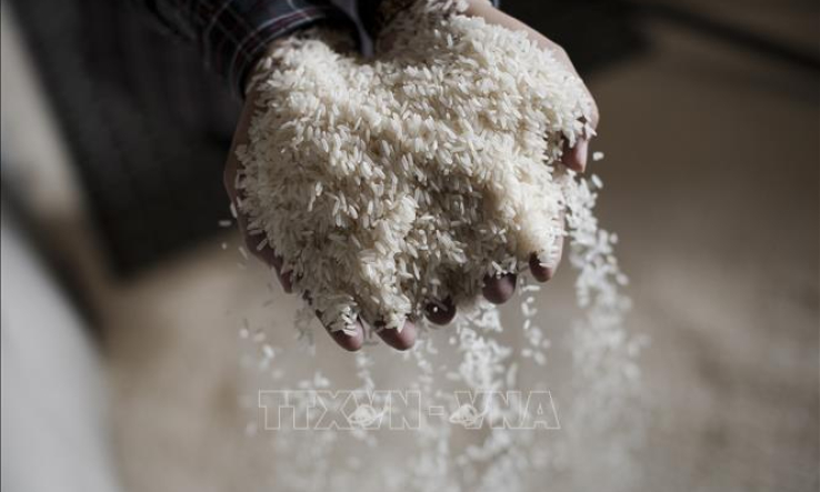 Hạn h&aacute;n nghi&ecirc;m trọng sẽ đẩy gi&aacute; n&ocirc;ng sản tăng cao tại Th&aacute;i Lan