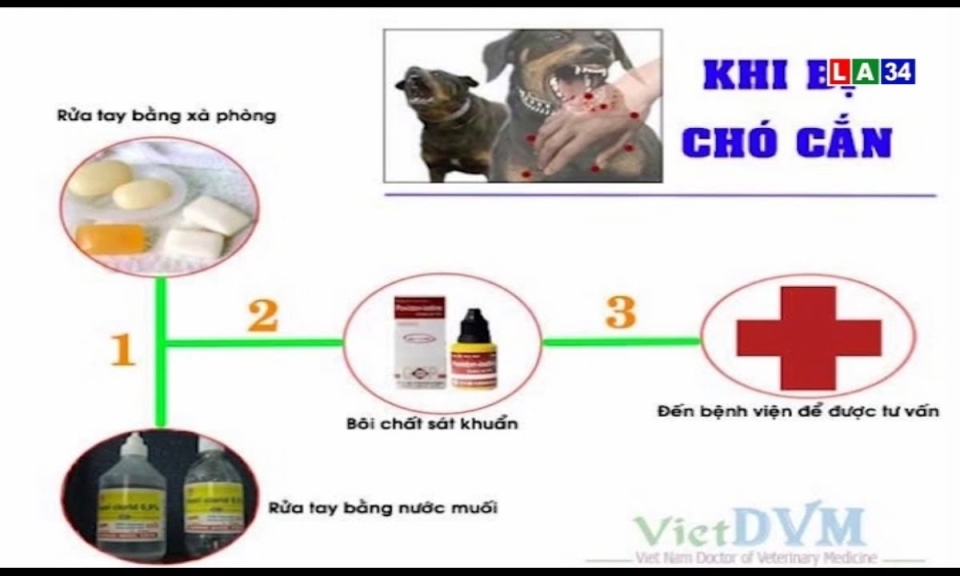 N&ocirc;ng th&ocirc;n bền vững: Bệnh dại tr&ecirc;n vật nu&ocirc;i