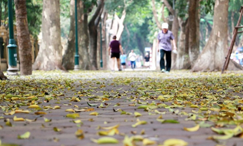 Bắc Bộ trời nắng, chỉ số UV Nam Bộ ở mức nguy cơ g&acirc;y hại rất cao