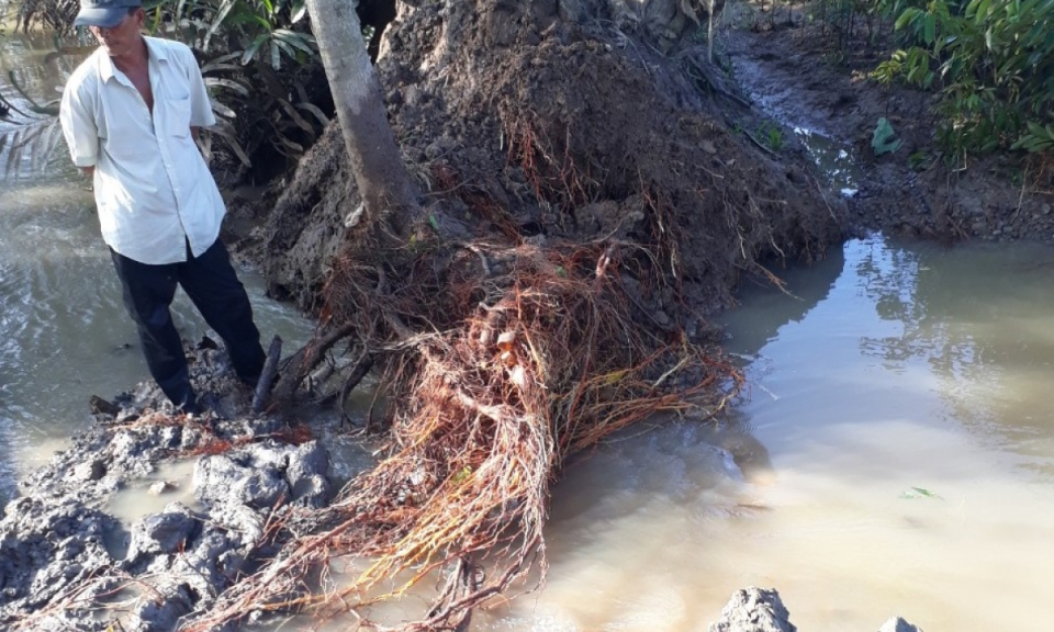 Bến Tre khẩn trương khắc phục t&igrave;nh trạng triều cường l&agrave;m vỡ đ&ecirc;, nước tr&agrave;n